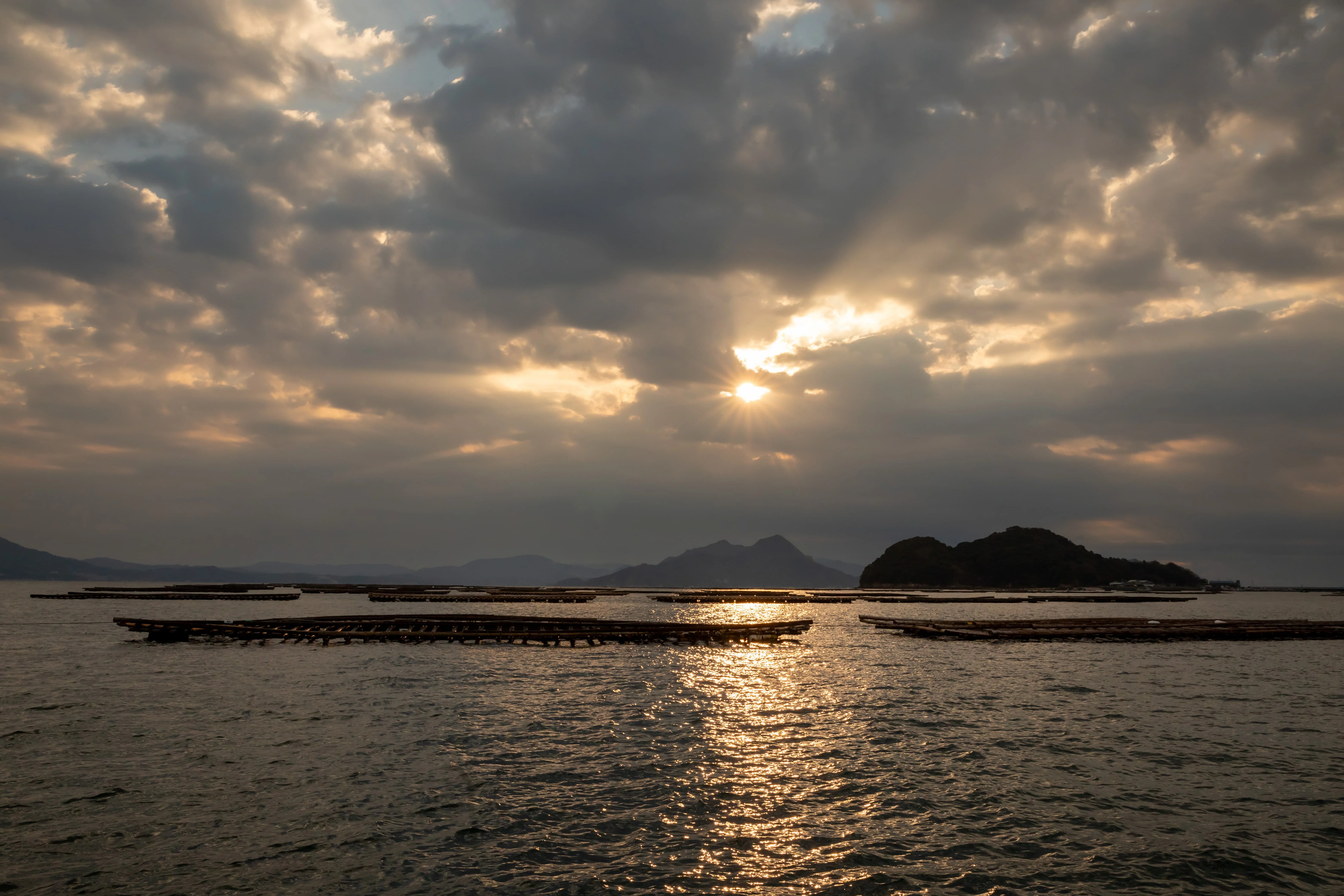 24_01_15_倉橋島海産様_057.jpg